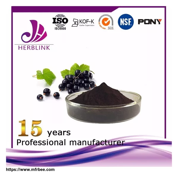 Black Currant extract Anthocyanin 25%