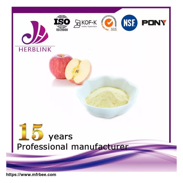 Apple Fruit Powder juice concentrate powder