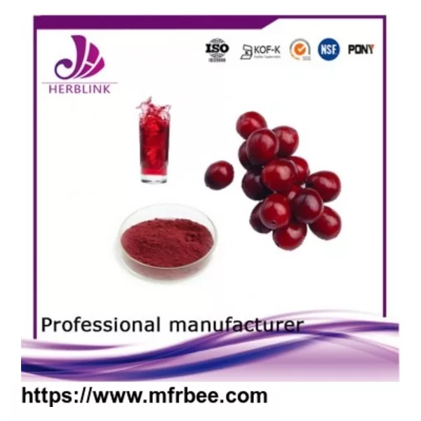 cranberry extract powder
