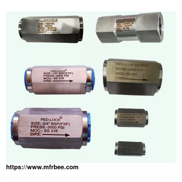 Check Valve Manufacturer