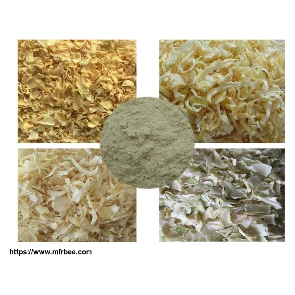 Chinese dehydrated/dried white/yellow onion slice/flake/powder/strips