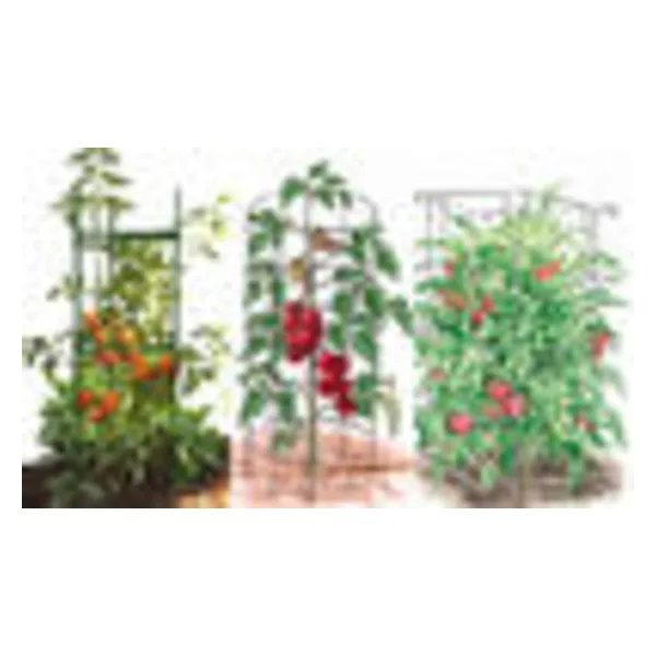 Tomato support - to get excellent tomatoes harvest