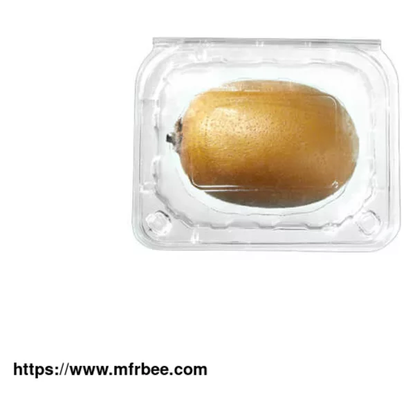 Disposable Fruit Containers