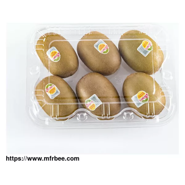 Disposable Clamshell Clear Rectangular Plastic Fruit Box /Containers
