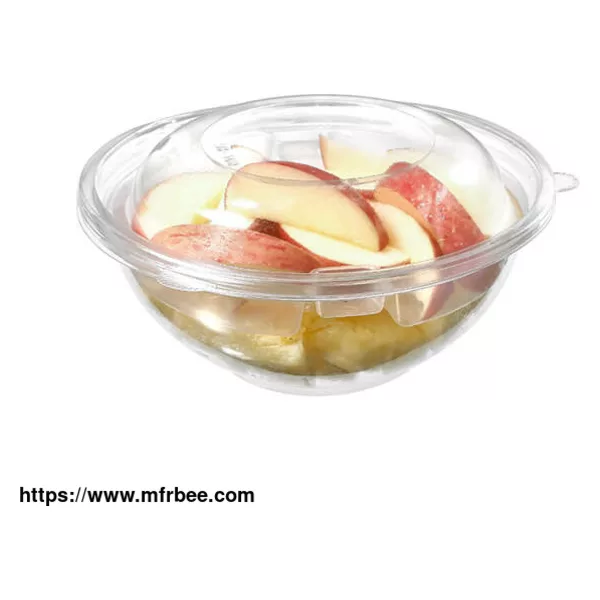 Disposable Pet Transparent Recyclable Plastic Fruit Salad Container