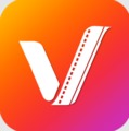 Video Downloader