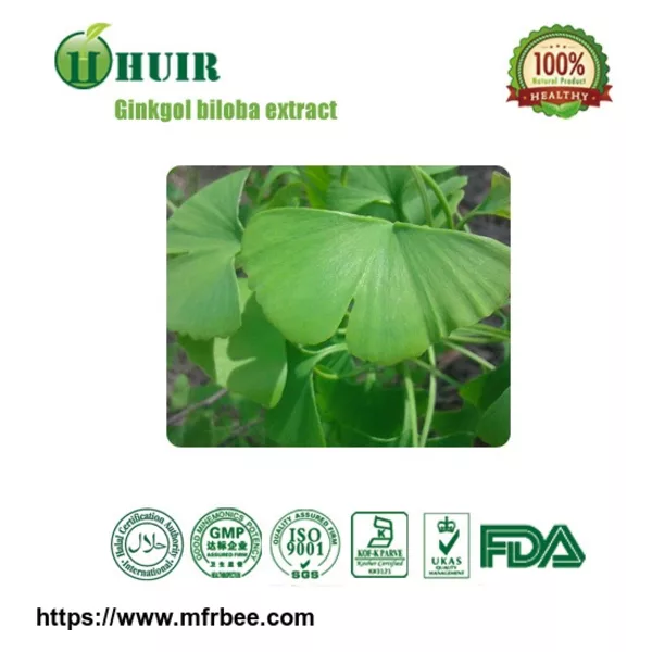 Ginkgo Biloba Extract
