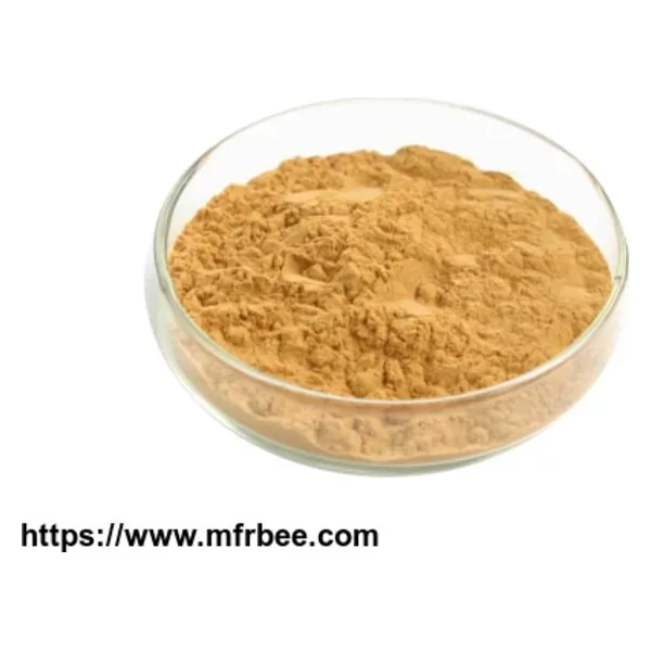 Yellow Dock Root extract