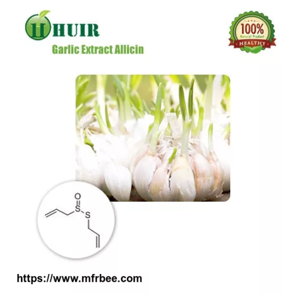 Garlic P.E.
