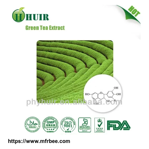 Green Tea P.E.