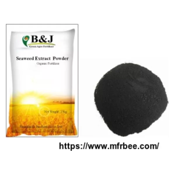 Seasweed Extract Powder