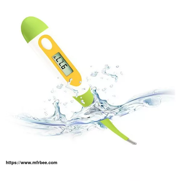 Digital Thermometer