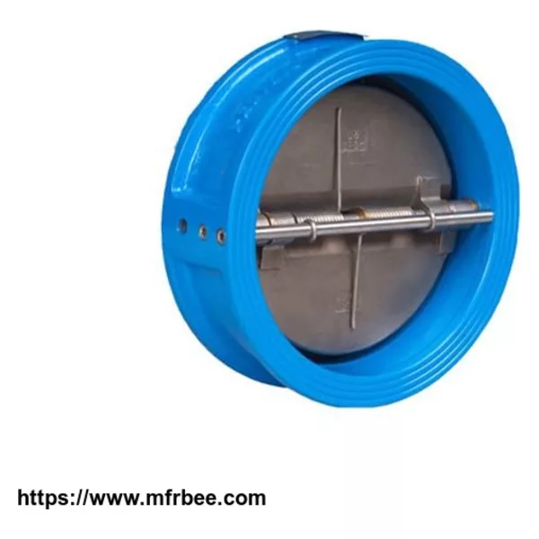 Butterfly check valve,API ANSI check valve