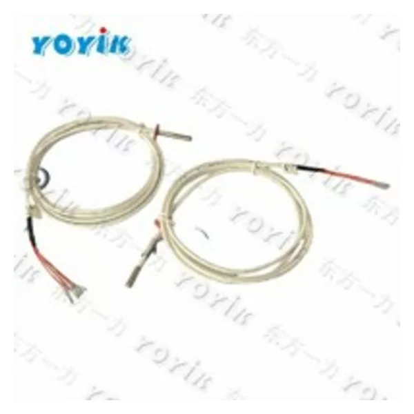 Yoyik RTD temperature sensor WZPM2-001
