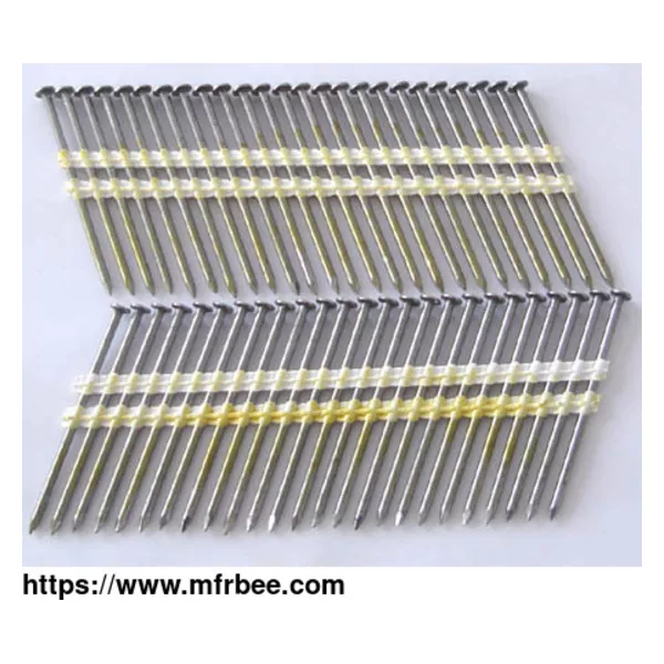 Stainless Steel Nails