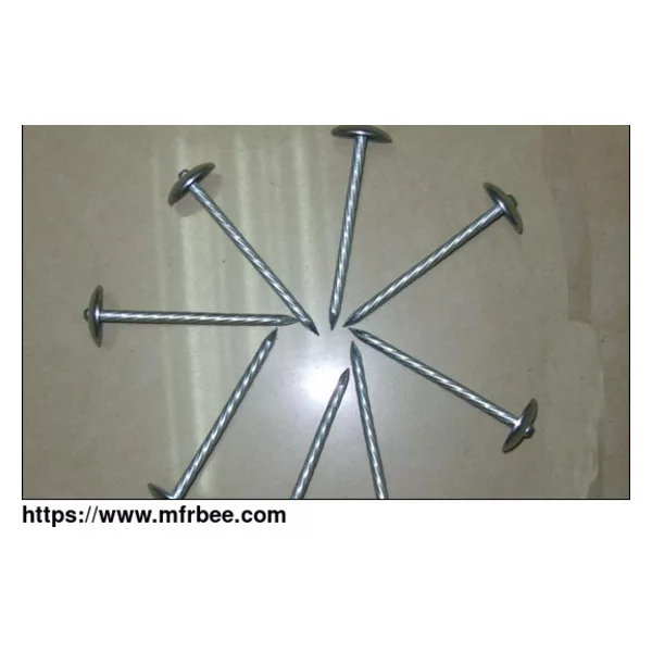Roofing Nails