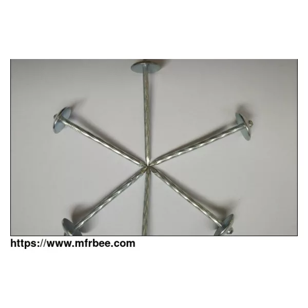 Galvanized Roofing Nails