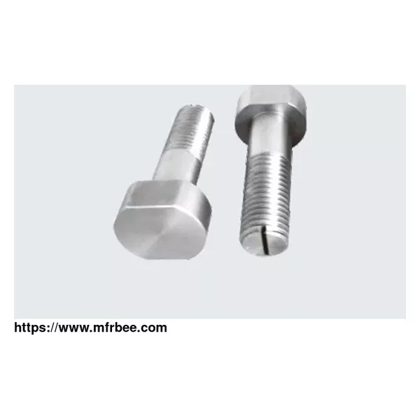 Molybdenum Screw