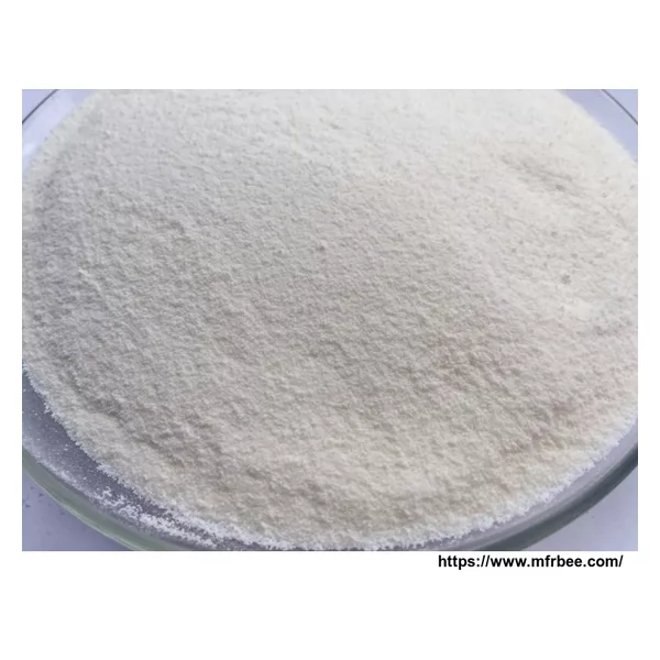 Non-dairy creamer