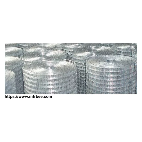 Galvanized Welded Wire Mesh