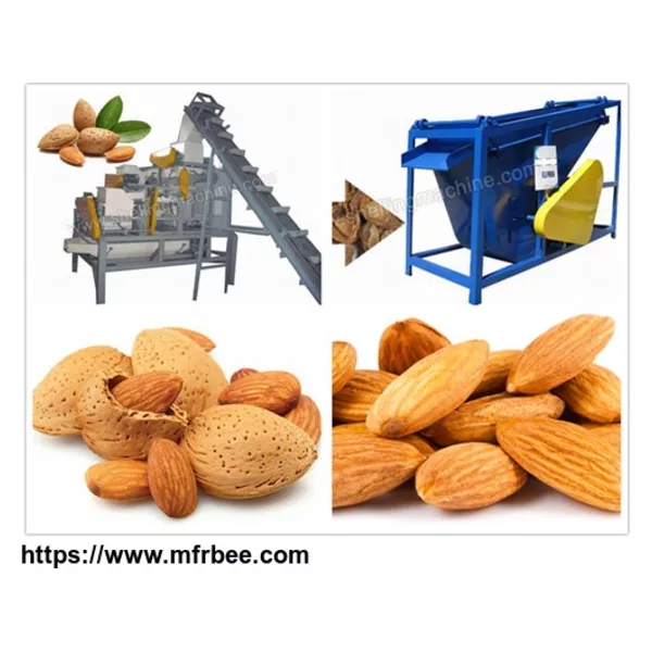 Almond Cracking & Separating Line(1000 kg/h)