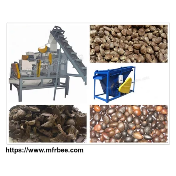 Large Palm Nuts Shelling and Separating Machine