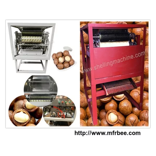 Macadamia Nut Cutting Machine
