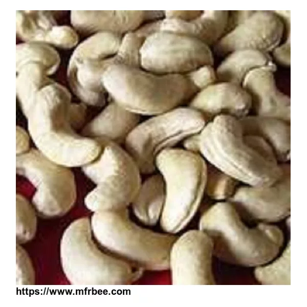 W320  Cashew nut