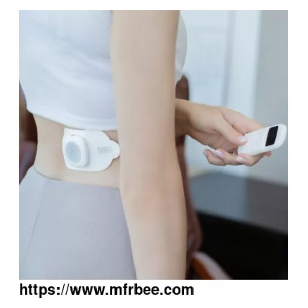 Electric Muscle Stimulator