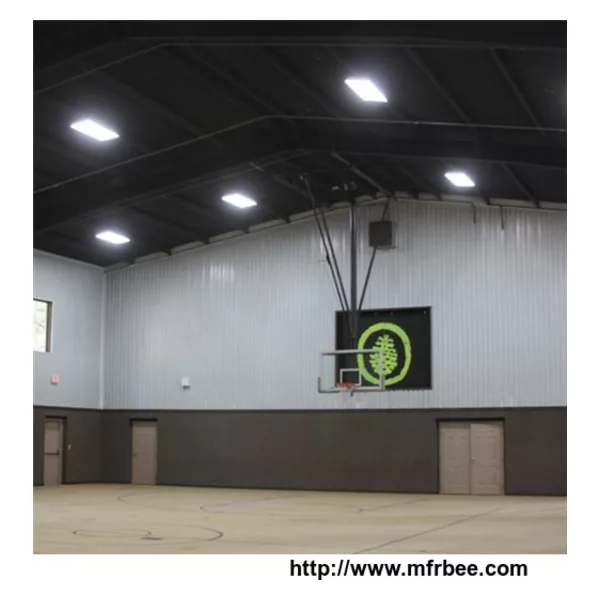 LED Gym Light
