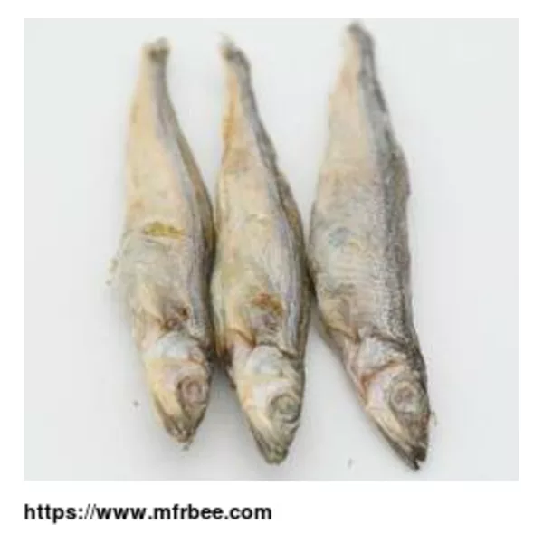 Freeze-Dried Pet Seafood Series