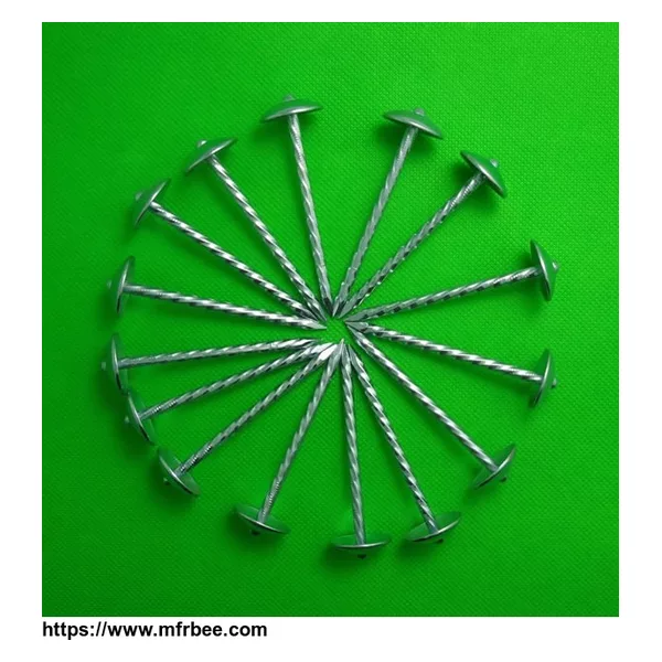 Twisted Shank Nails