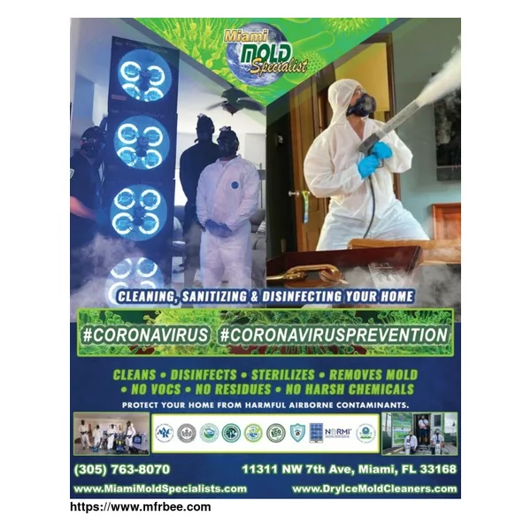 Miami Mold Specialists