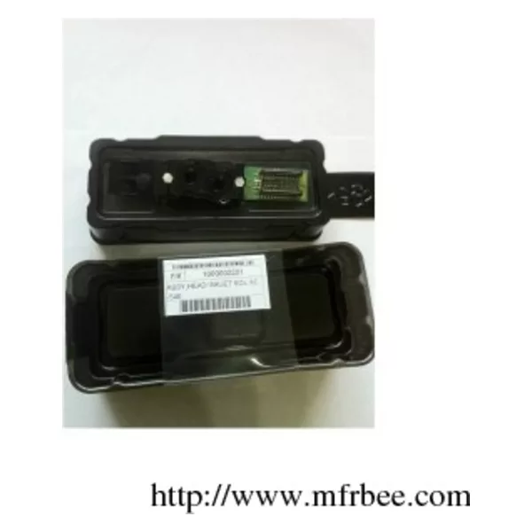Epson Stylus Photo 1390 Printhead F173050