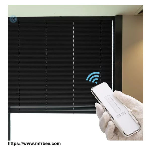 Hollow Shutter Glass