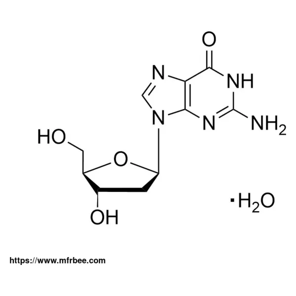 2′-Deoxyguanosine Monohydrate