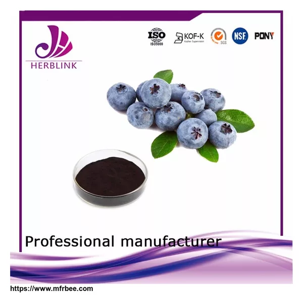 health supplement fruit extract Bilberry powder