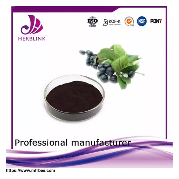 Free sample Pure Natural Antioxident Aronia extract