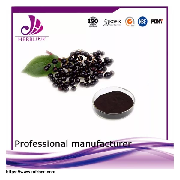 gmp certified companies	Antibacterial Elderberry Extract