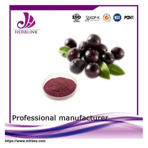 energy supplement	Freeze Dried Acai berry Extract
