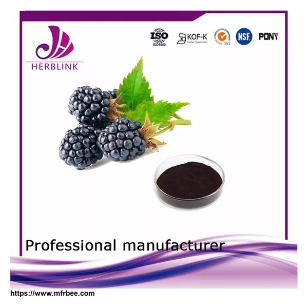 hot sale 2017 food beverage Mulberry Extract