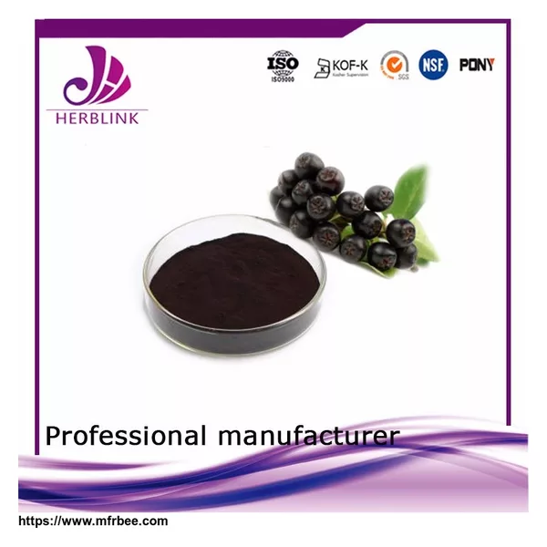 best selling products fruit extract Aronia extract