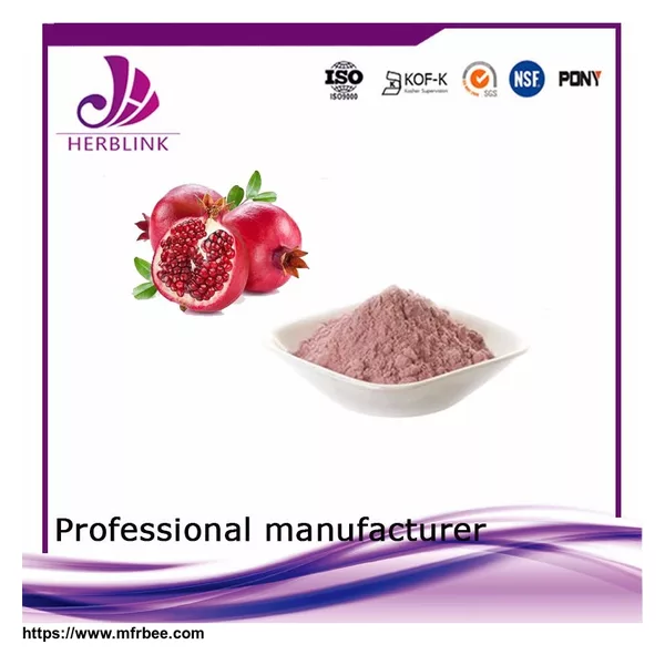 Pineapple fruit juice powder Cold Pressed Pineapple powder