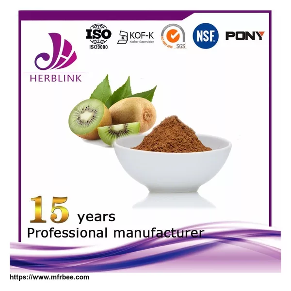 Rich in Vitamin C Food Grade Kiwi fruit powder