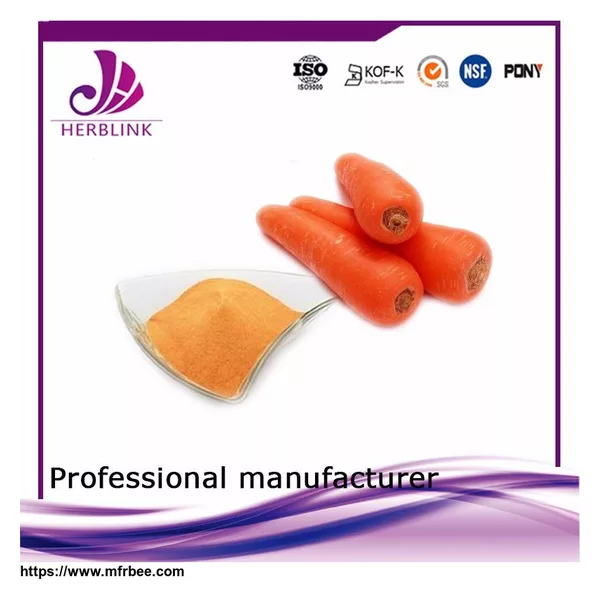 Good reliable supplier mix fruit vegetable Carrot Fruit Powder