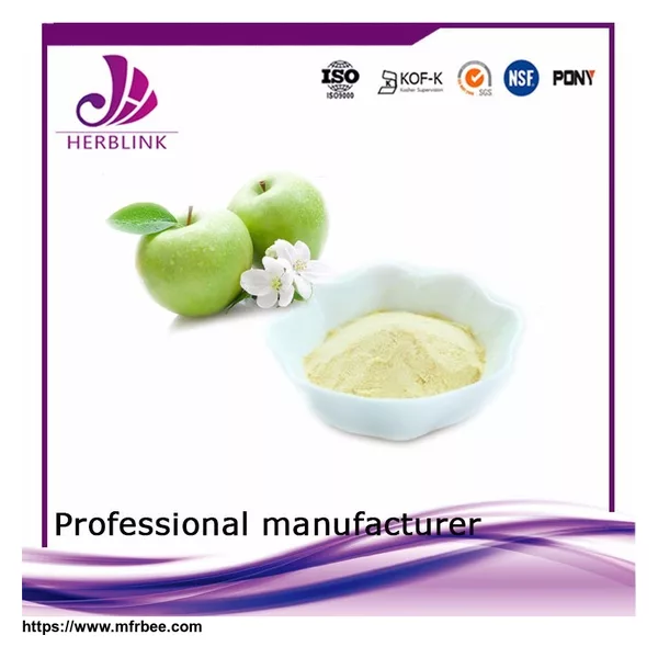 Free Sample juice concentrate Food Additive Apple Fruit Powder