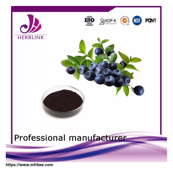 wholesale alibaba water soluable freeze dried Blueberry fruit powder