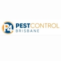 Pest Control Brisbane