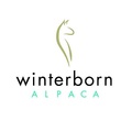 Winterborn Alpaca