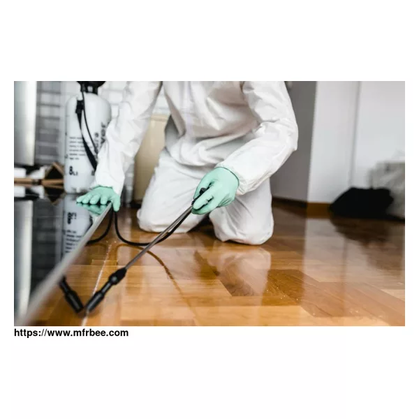 Local Pest Control Castle Hill